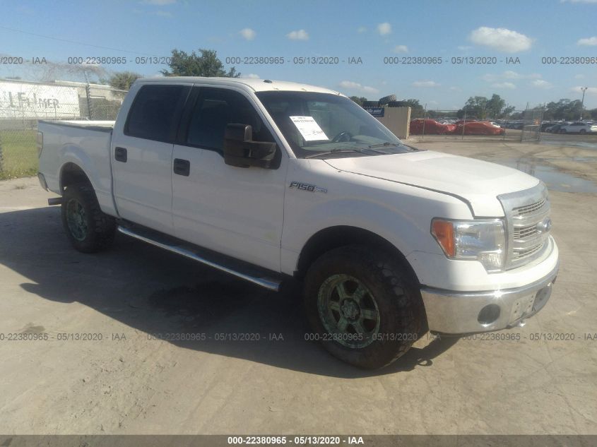 2013 FORD F-150 XL/XLT/FX4/LARIAT 1FTFW1ET2DKF24911