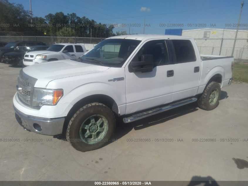 2013 FORD F-150 XL/XLT/FX4/LARIAT 1FTFW1ET2DKF24911