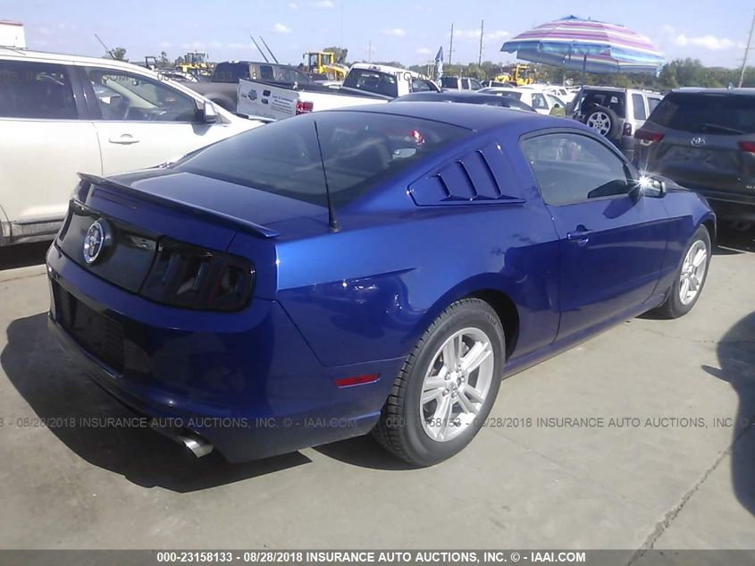 2013 FORD MUSTANG 1ZVBP8AM5D5277706