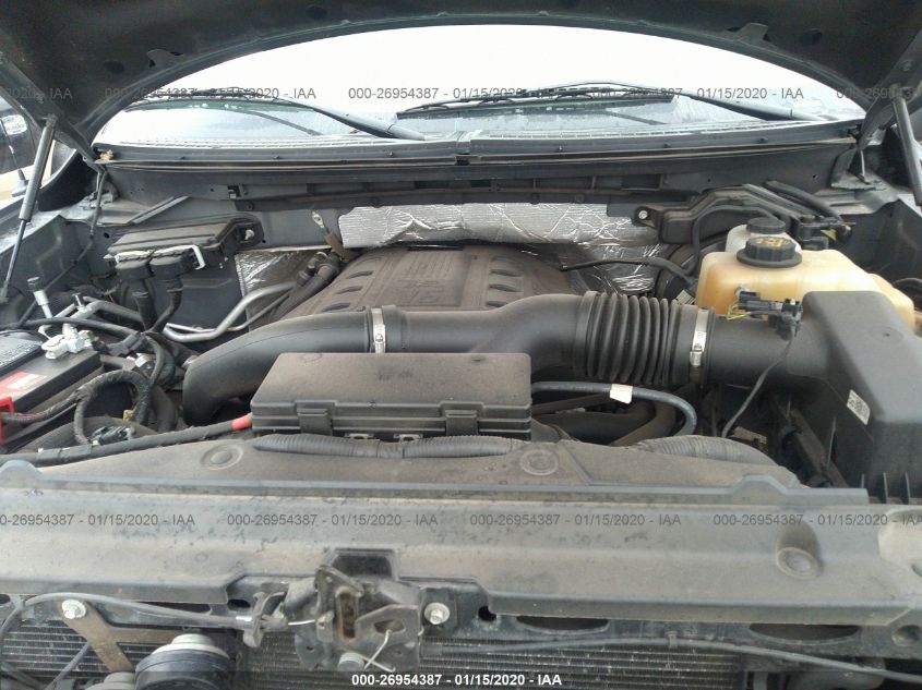 2013 FORD F-150 XL/XLT/FX4/LARIAT 1FTFW1ET2DKE71319