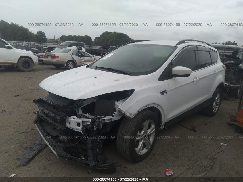2014 FORD ESCAPE SE 1FMCU0GX3EUD72058