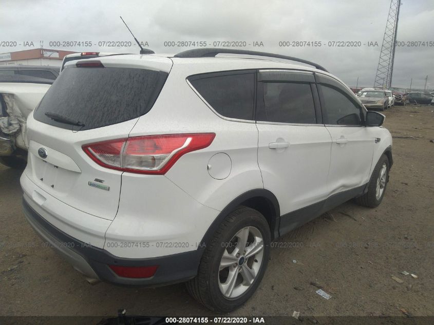 2014 FORD ESCAPE SE 1FMCU0GX3EUD72058