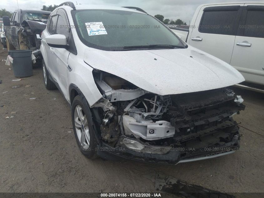 2014 FORD ESCAPE SE 1FMCU0GX3EUD72058