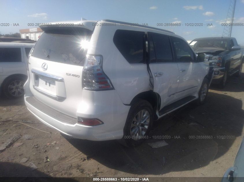 2019 LEXUS GX GX 460 JTJBM7FX5K5215449