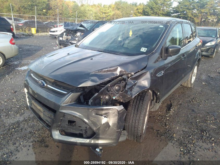 2015 FORD ESCAPE SE 1FMCU0G71FUB35554