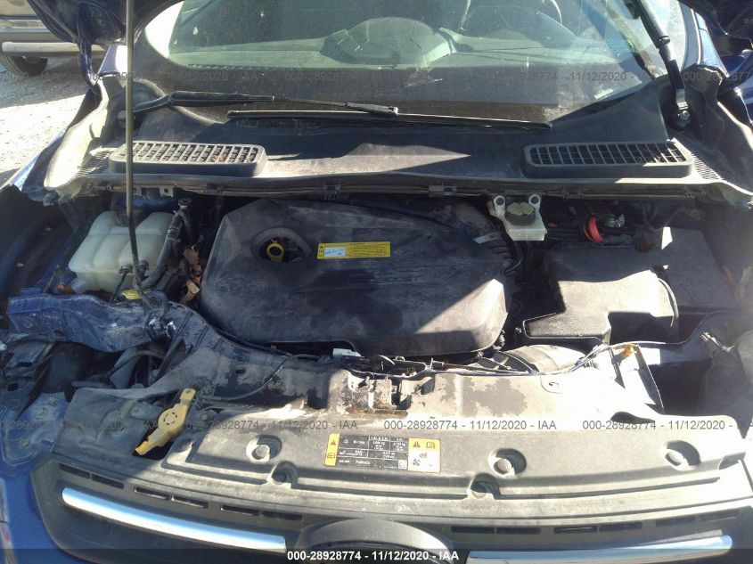 2014 FORD ESCAPE SE 1FMCU0GX1EUC51092