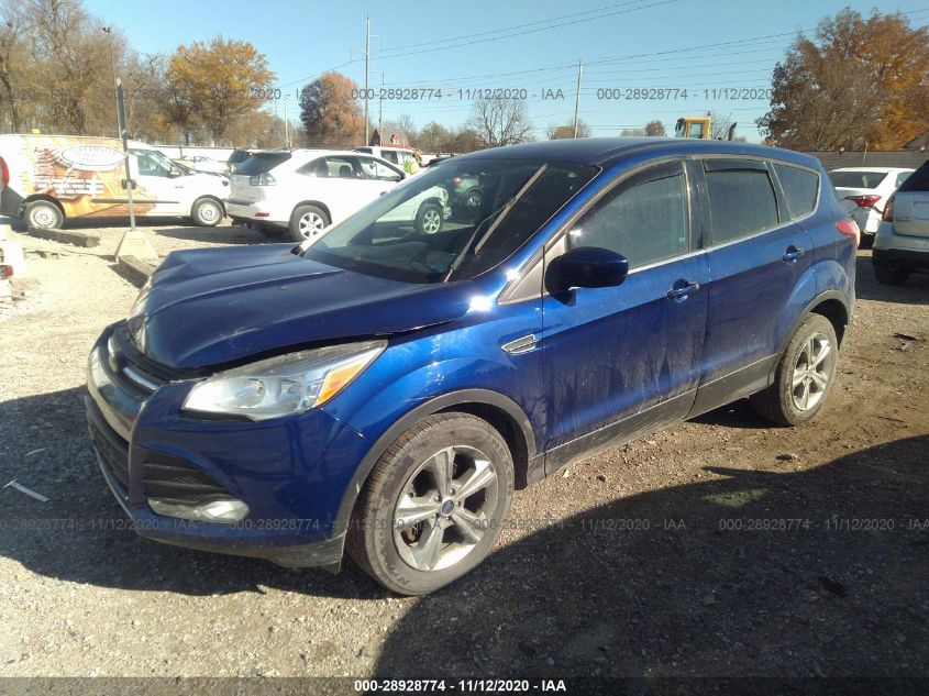 2014 FORD ESCAPE SE 1FMCU0GX1EUC51092