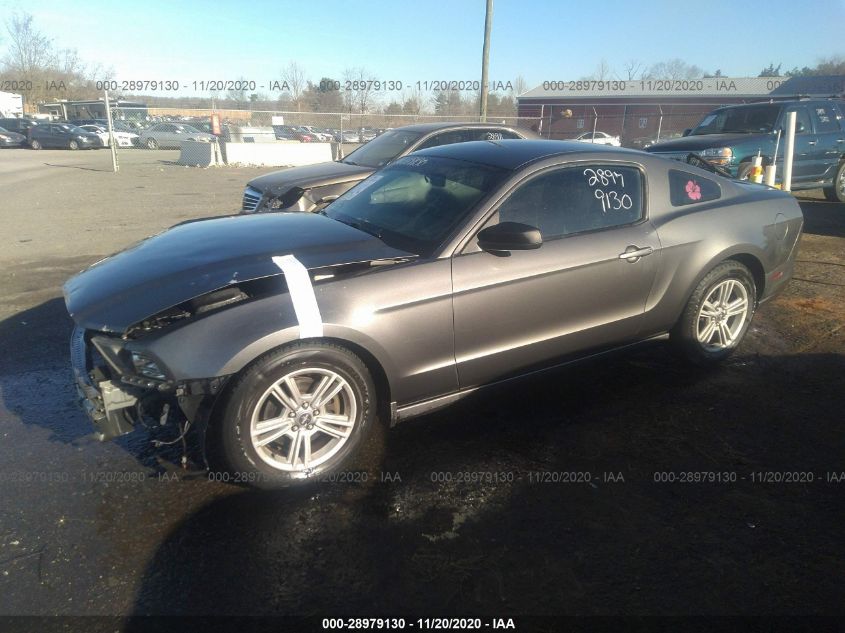 2014 FORD MUSTANG V6 1ZVBP8AMXE5260742