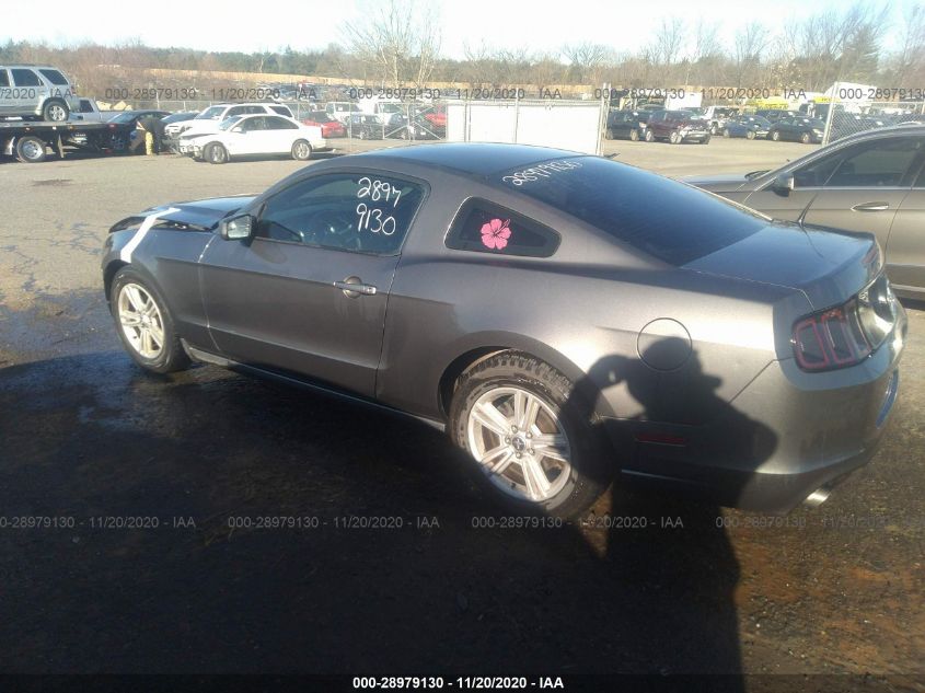 2014 FORD MUSTANG V6 1ZVBP8AMXE5260742