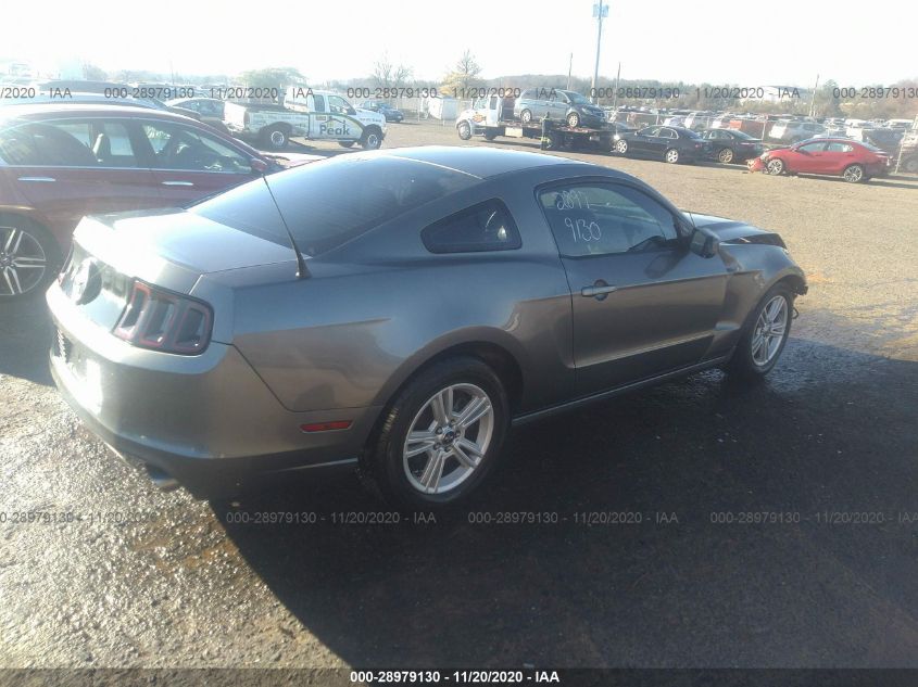 2014 FORD MUSTANG V6 1ZVBP8AMXE5260742
