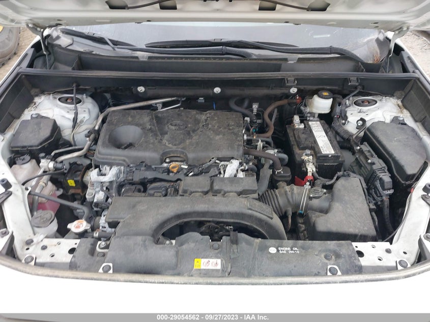 VIN 2T3W1RFV6KC016489 2019 TOYOTA RAV4 XLE