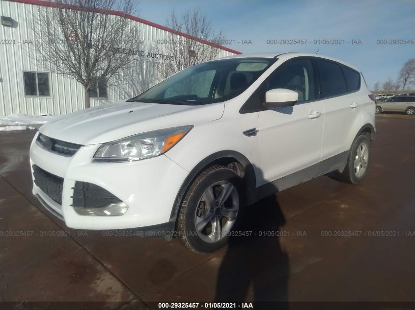 2013 FORD ESCAPE SE 1FMCU0GX0DUC38459