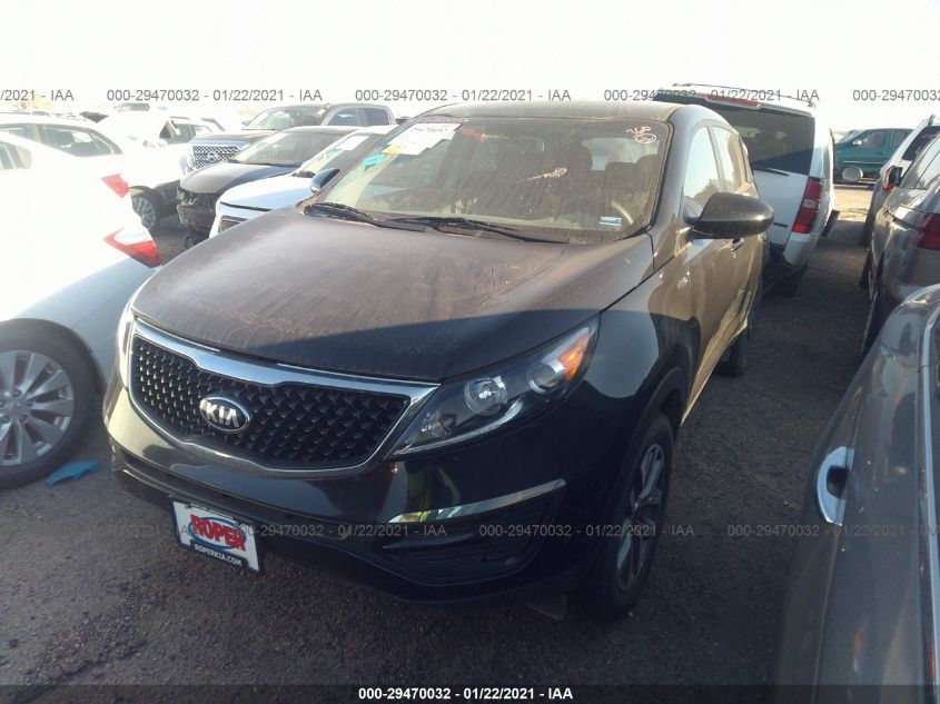 2015 KIA SPORTAGE LX KNDPBCAC0F7745902