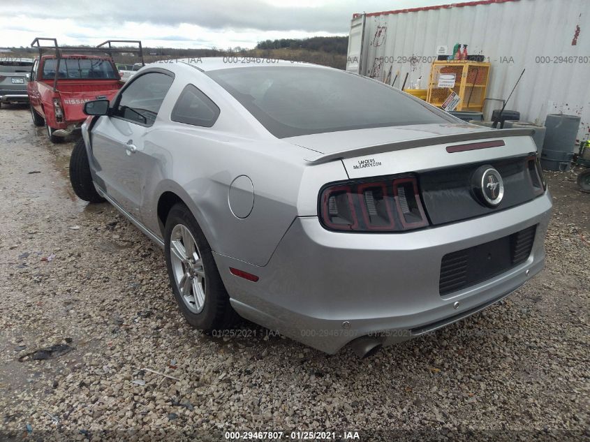 2013 FORD MUSTANG V6 1ZVBP8AM9D5206508