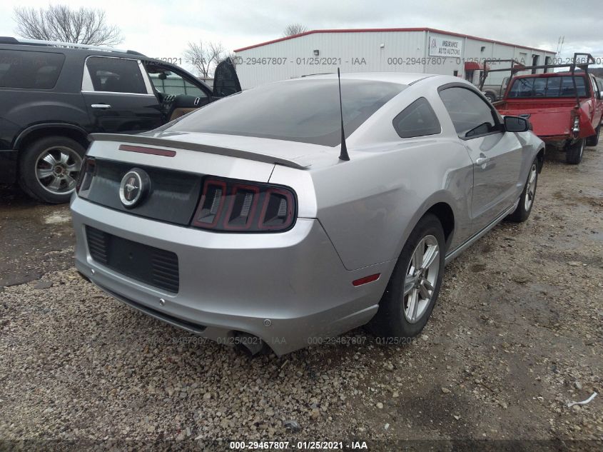 2013 FORD MUSTANG V6 1ZVBP8AM9D5206508
