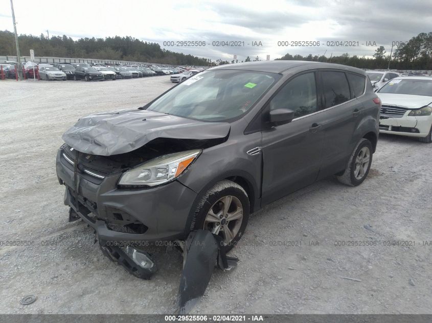 2014 FORD ESCAPE SE 1FMCU0GX5EUE21826