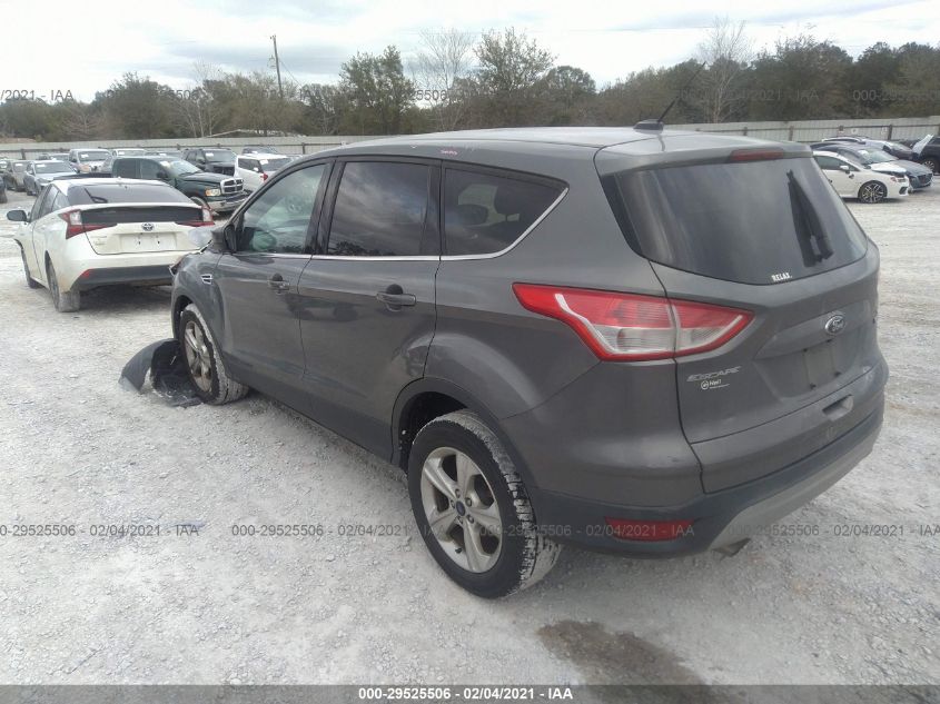 2014 FORD ESCAPE SE 1FMCU0GX5EUE21826