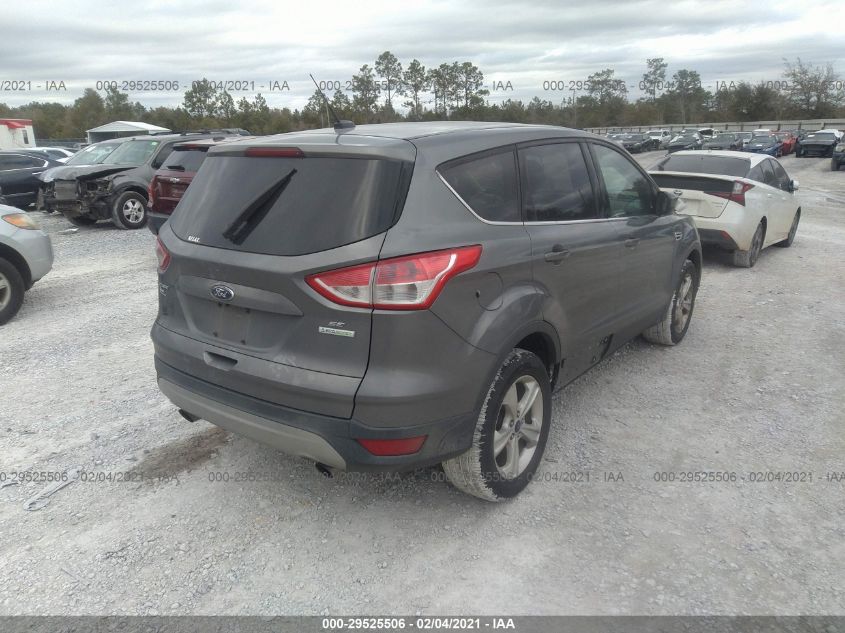 2014 FORD ESCAPE SE 1FMCU0GX5EUE21826