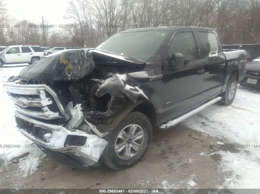 2015 FORD F-150 XLT/XL/LARIAT 1FTEW1EP3FKE99602