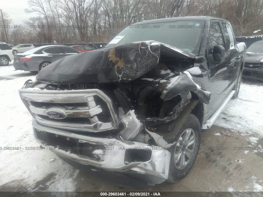 2015 FORD F-150 XLT/XL/LARIAT 1FTEW1EP3FKE99602