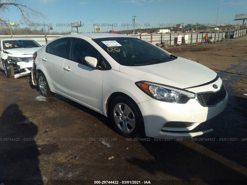 KNAFX4A6XG5517672 KIA FORTE Photo 1
