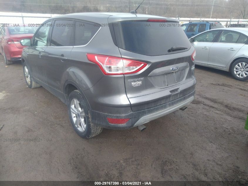 2014 FORD ESCAPE SE 1FMCU0GX5EUA85806