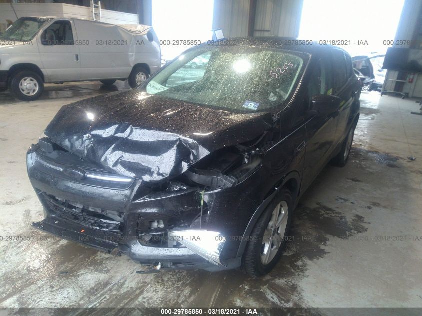 2014 FORD ESCAPE SE 1FMCU0GX5EUD21743