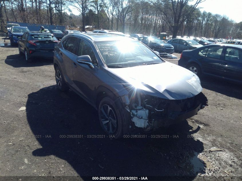 2021 LEXUS NX NX 300 JTJGARDZ0M2238849