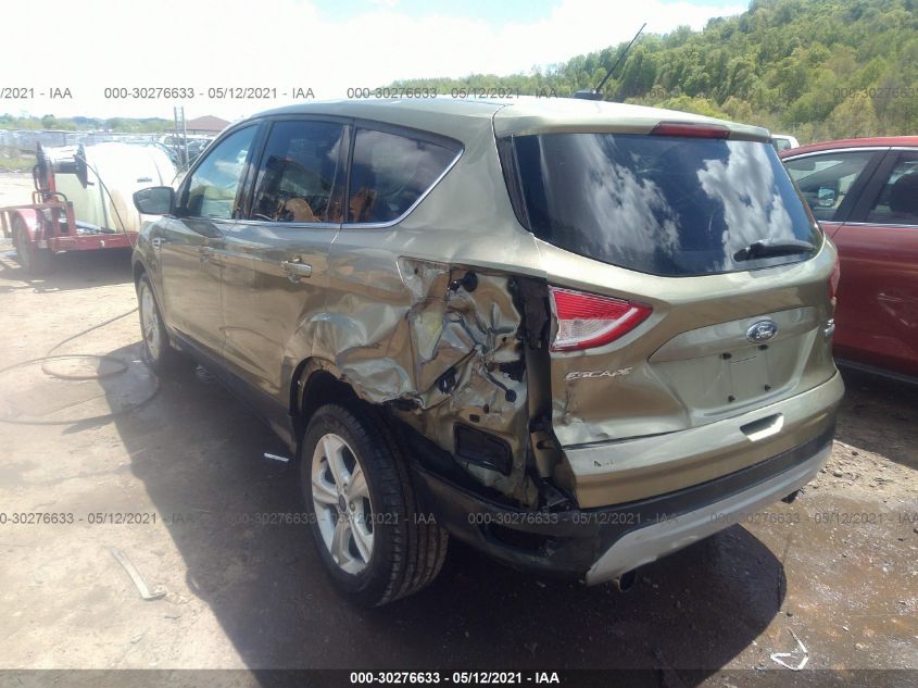 2013 FORD ESCAPE SE 1FMCU0GX9DUA23954