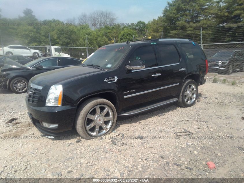 2013 CADILLAC ESCALADE LUXURY 1GYS4BEF9DR369716