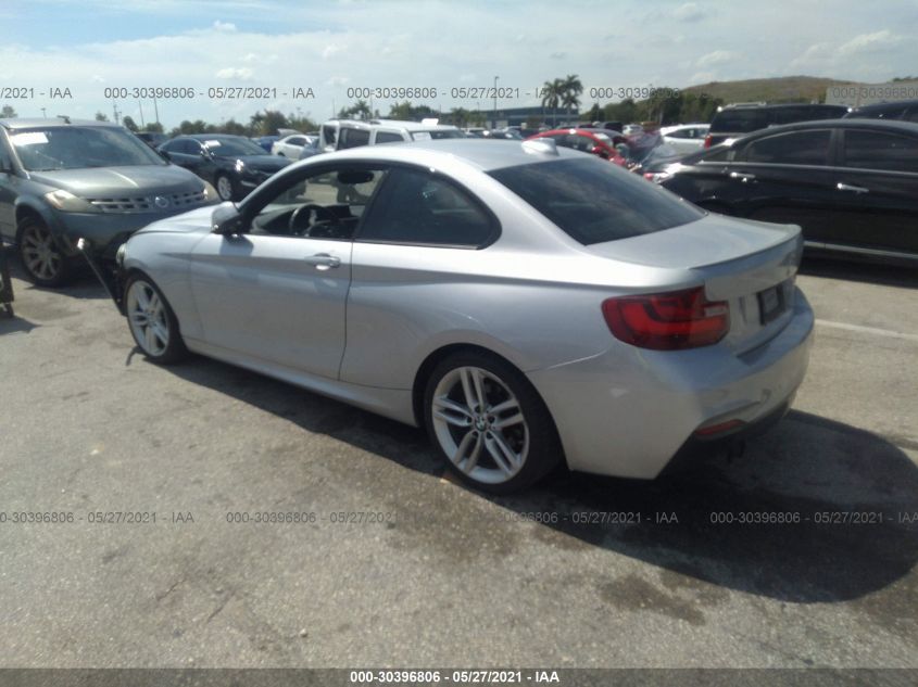 2014 BMW 228I WBA1F5C55EV246153