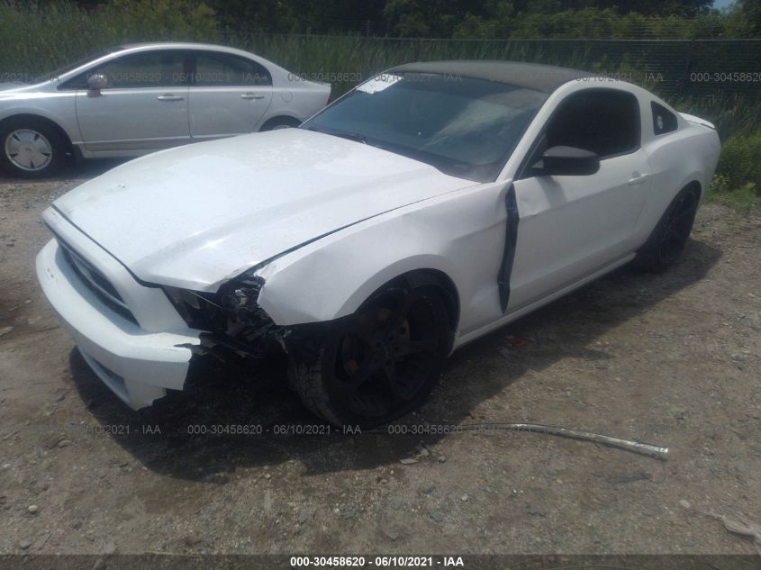 2013 FORD MUSTANG V6 1ZVBP8AM3D5235454