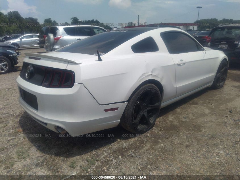 2013 FORD MUSTANG V6 1ZVBP8AM3D5235454