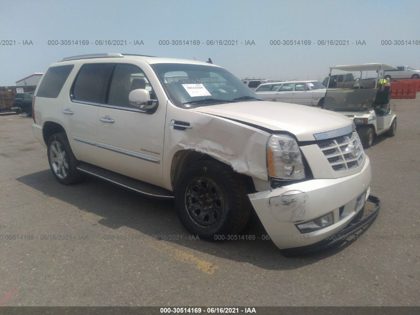 2013 CADILLAC ESCALADE LUXURY 1GYS4BEF9DR159861