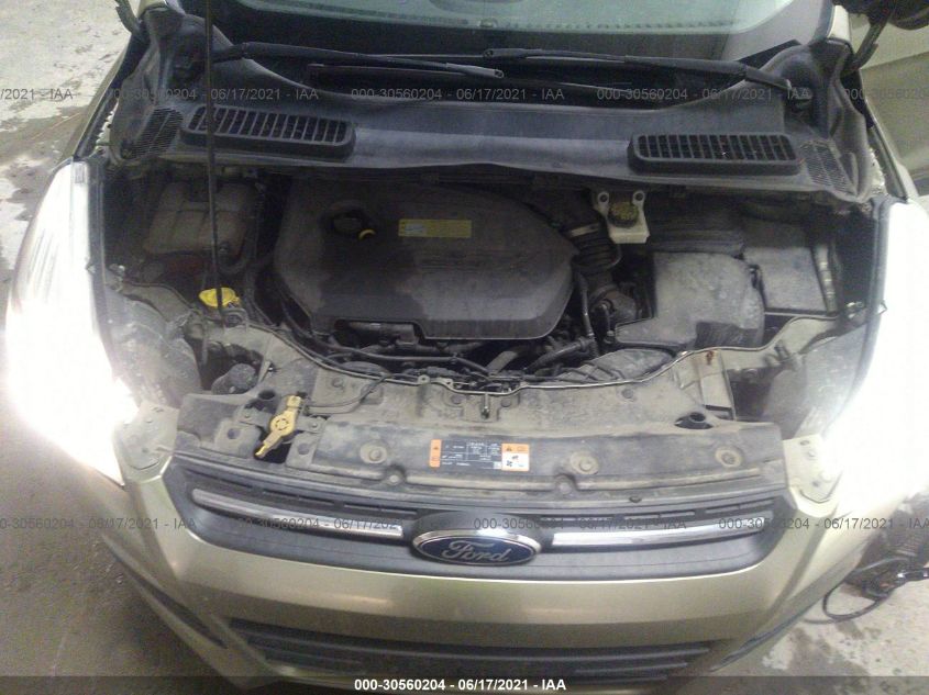 2014 FORD ESCAPE SE 1FMCU9GX0EUB32616