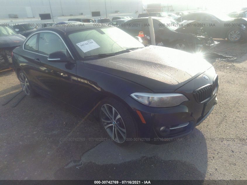 2016 BMW 2 SERIES 228I WBA1F9C53GV545814