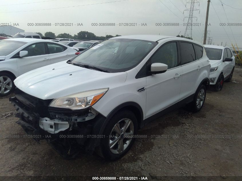 2013 FORD ESCAPE SE 1FMCU0GX5DUD71797