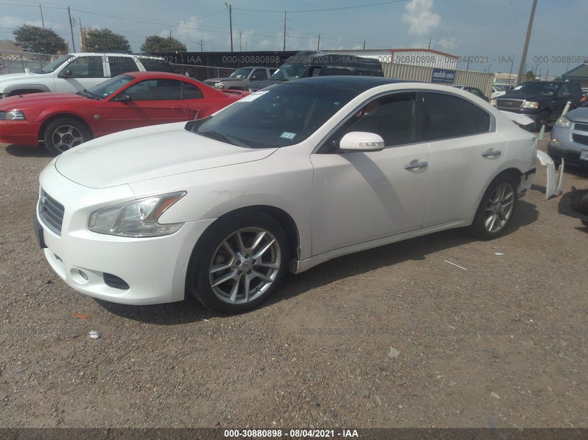 2010 NISSAN MAXIMA VIN: 1N4AA5AP1AC845813