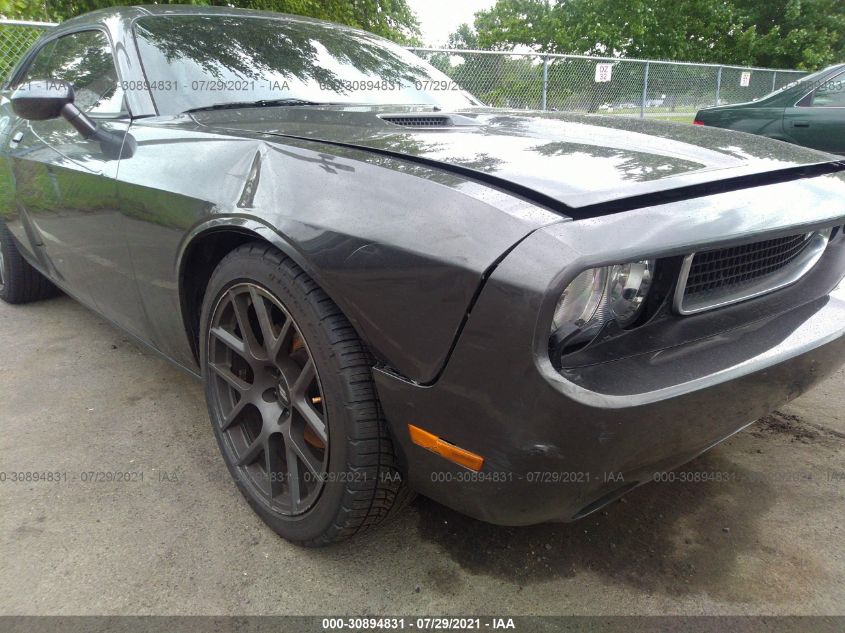 2013 DODGE CHALLENGER SXT 2C3CDYAG9DH648700