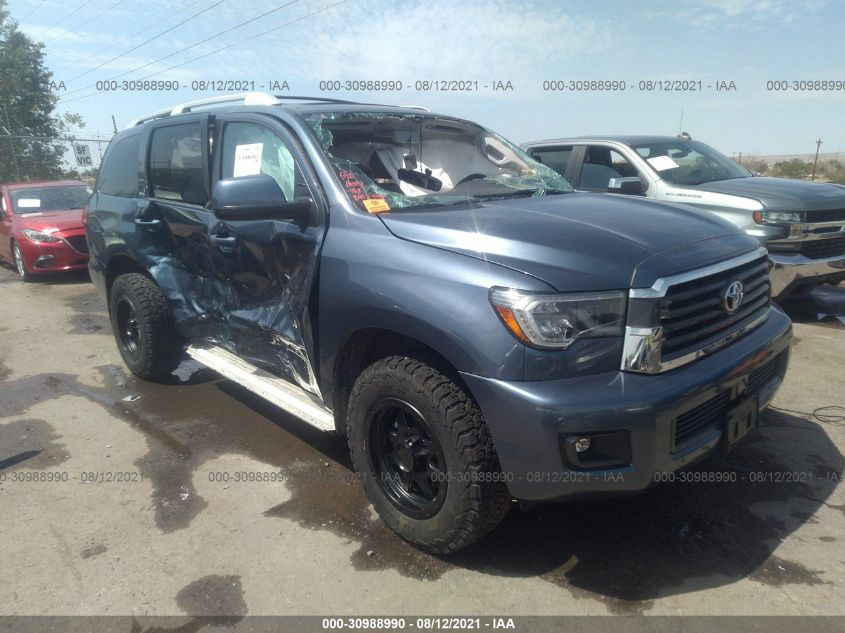 2019 TOYOTA SEQUOIA SR5/TRD SPORT 5TDBY5G16KS171090