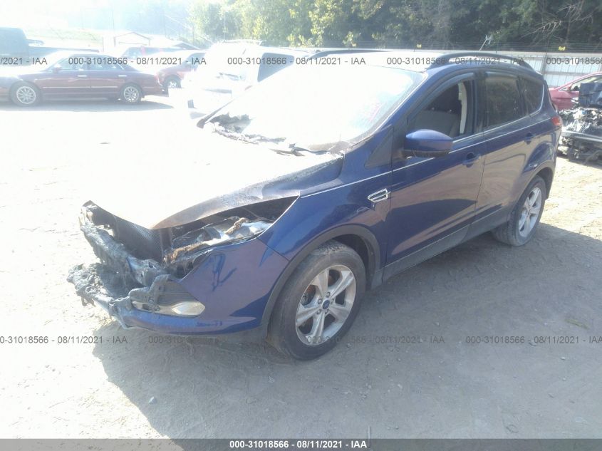 2014 FORD ESCAPE SE 1FMCU0GX8EUB17311