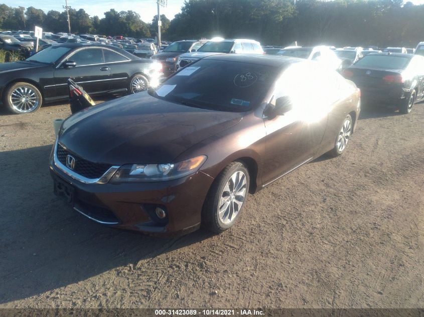 2013 HONDA ACCORD CPE EX-L 1HGCT1B8XDA020707