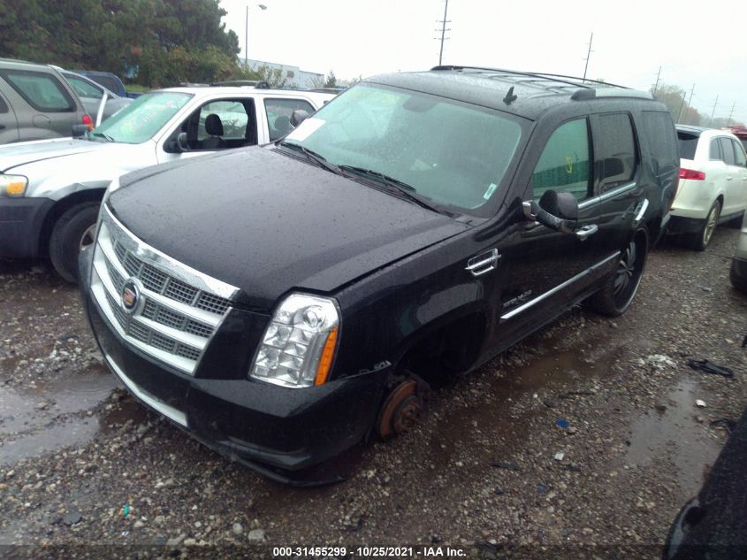 2013 CADILLAC ESCALADE PLATINUM EDITION 1GYS4DEF9DR102801