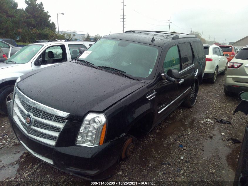 2013 CADILLAC ESCALADE PLATINUM EDITION 1GYS4DEF9DR102801