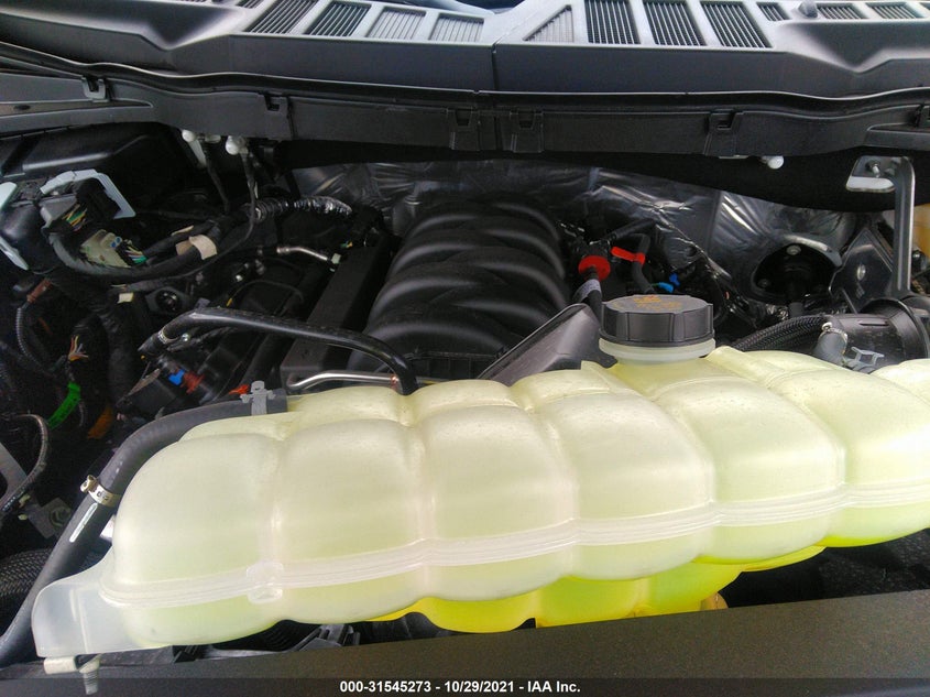 Auction sale of the 2021 FORD F 150 , vin: 1FTFW1E57MKE05558, lot number: 31545273