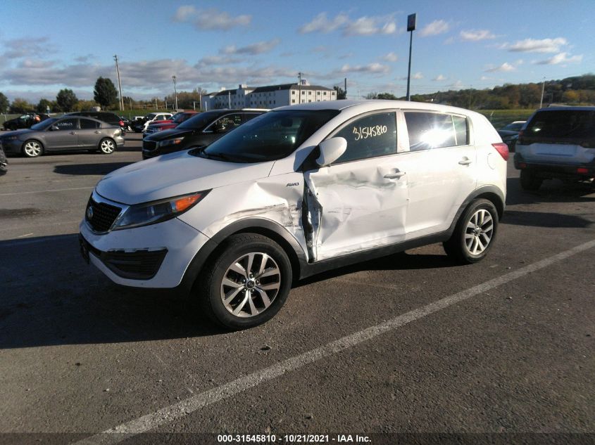 2014 KIA SPORTAGE LX KNDPBCAC3E7562847