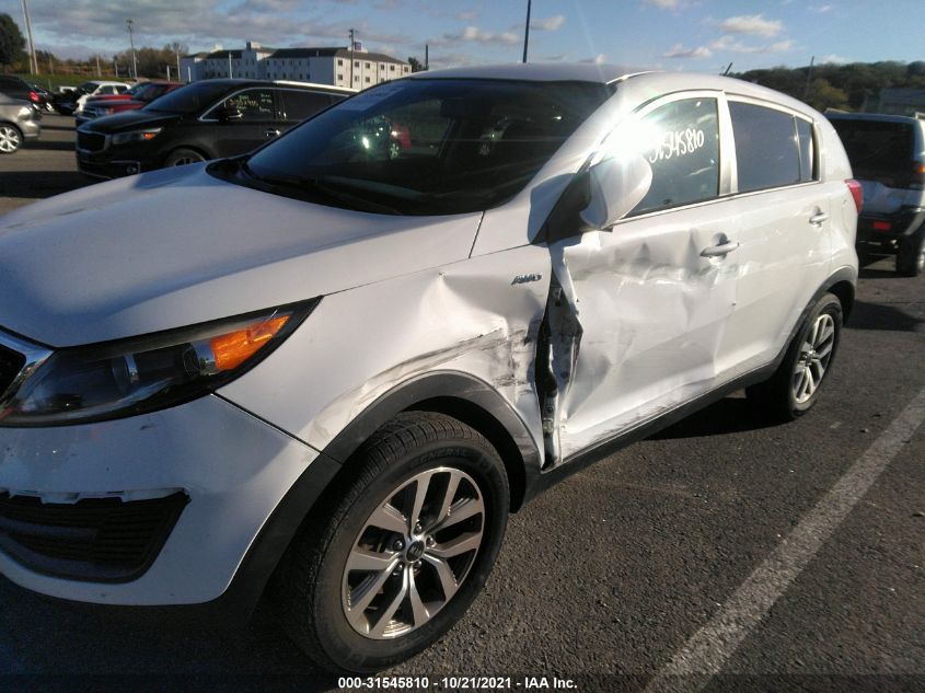 2014 KIA SPORTAGE LX KNDPBCAC3E7562847