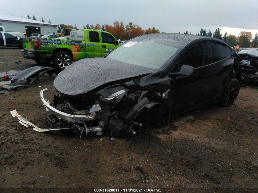 5YJYGDEE5MF129532 Tesla Model Y 2021. Фото: 1