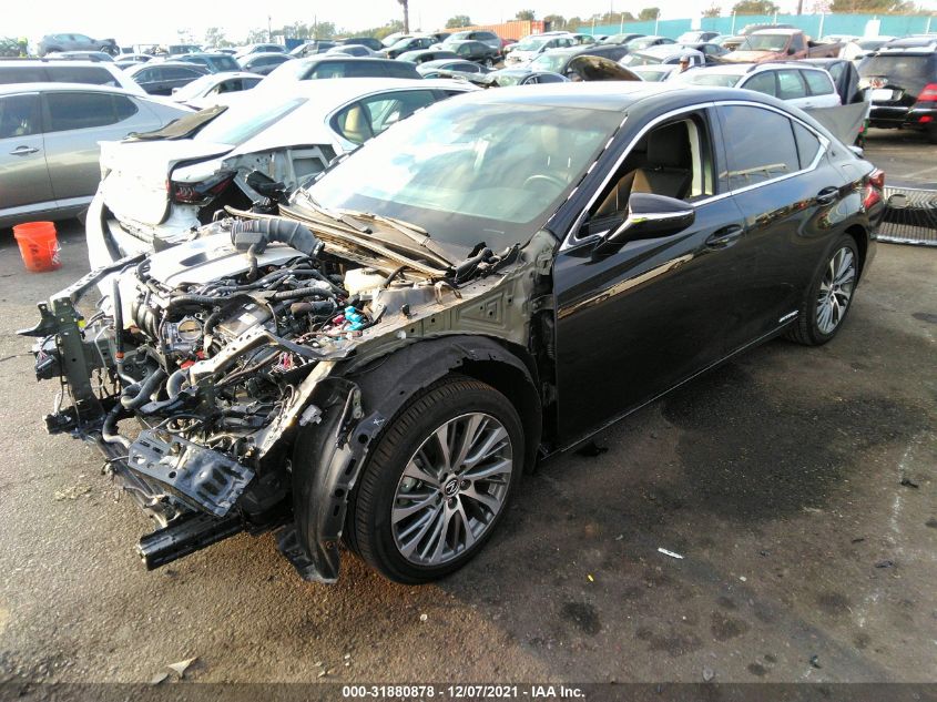 2021 LEXUS ES ES 300H - 58ADA1C11MU003498