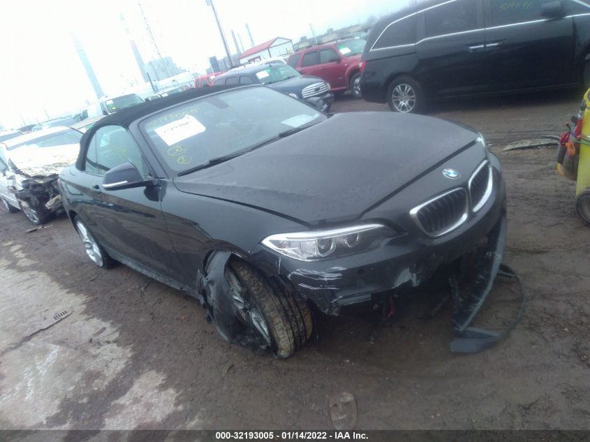 2015 BMW 2 SERIES 228I WBA1K5C55FV474148